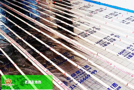這家大連地?zé)峁静还鉃槟鷰頊嘏?，更帶來?>
                                </div>
                            </div>
                            <div   id=